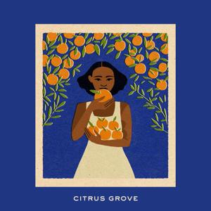 Citrus Grove