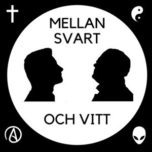 Mellan Svart och Vitt