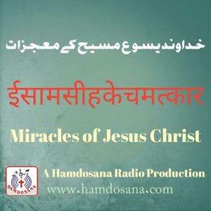 Miracles of Jesus in the Gospel of John