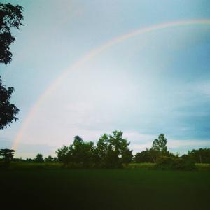 Poetries And Random Thoughts.