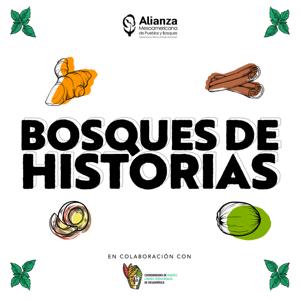 Bosques de Historias