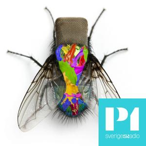 Kulturreportaget – arkiv