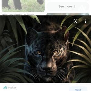 CHIEF TRADE INDUSTRY