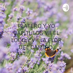 PLATERO Y YO CAPÍTULOS Vll EL LOCO Y Vll LA FLOR DEL CAMINO