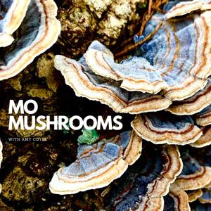 MO Mushrooms