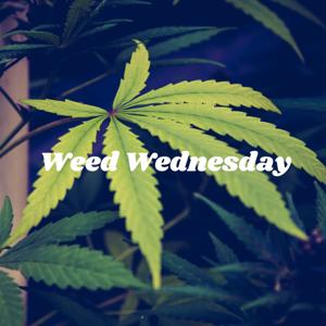 Weed Wednesday - Sinnlose Kommentare zu sinnlosen Beiträgen