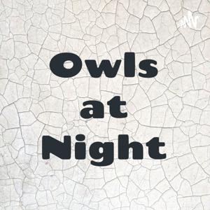 Owls at Night