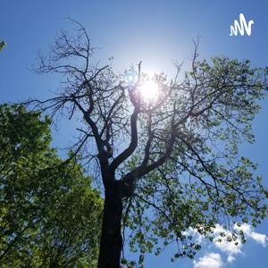 Unfiltered Synchronicites