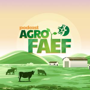 Podcast AgroFAEF