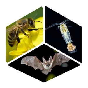 Conversando Sobre Ciência