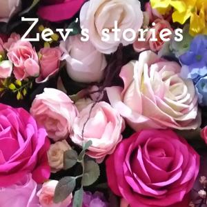 Zev’s stories