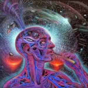 Assimilated Minds