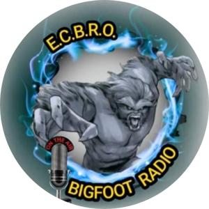 ECBRO BIGFOOT RADIO