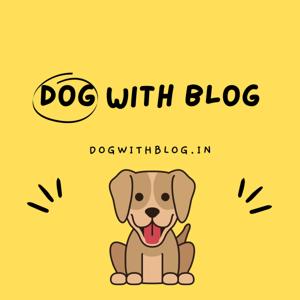 Dog with Blog