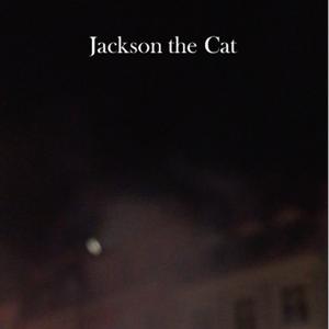 Jackson the Cat