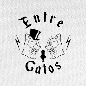 Entre Gatos