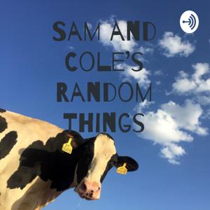 Sam and Cole's Random Things