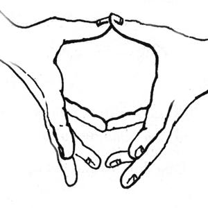 Daoist Qigong Collective by Daoist  Qigong Collective