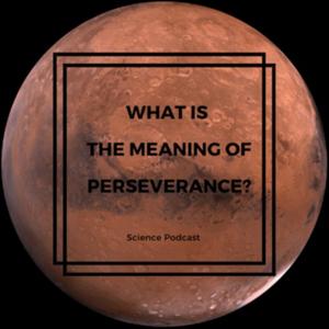 What is the meaning of Perseverance?