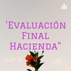 "Evaluación Final Hacienda"