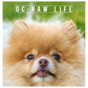 OC Raw Life