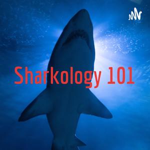 Sharkology 101