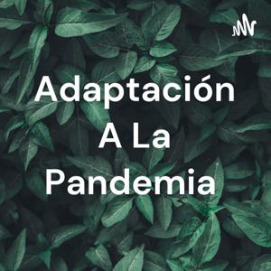 Adaptación A La Pandemia