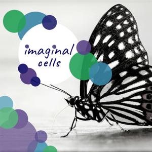 Imaginal Cells by Podstarter