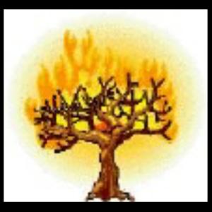 Consuming Fire Fellowship Sermons