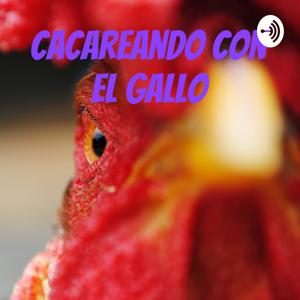 Cacareando con el gallo