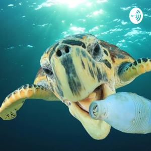 Plastic ocean pollution
