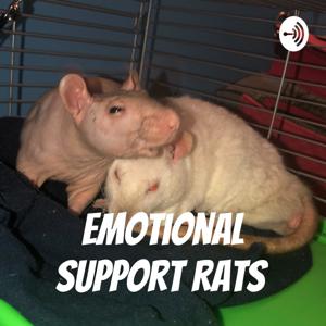 Emotional Support Rats