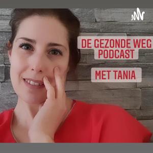 De Gezonde Weg