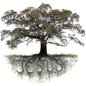 Tree of Life Church