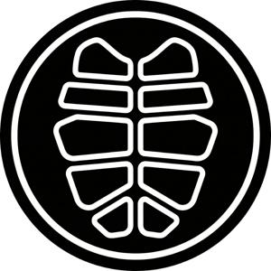 Dancing Turtle Records | podcast series