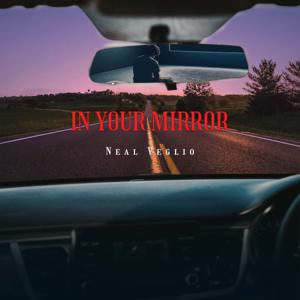 In Your Mirror: extraordinary people you should know share their inspirational stories of overcoming life's obstacles by Neal Veglio