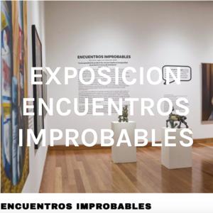 EXPOSICION ENCUENTROS IMPROBABLES