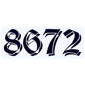 8672 Podcast