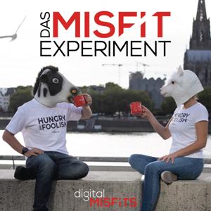 Das Misfit Experiment