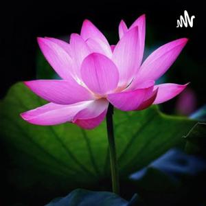 Potters Podcast- Incredible Lotus
