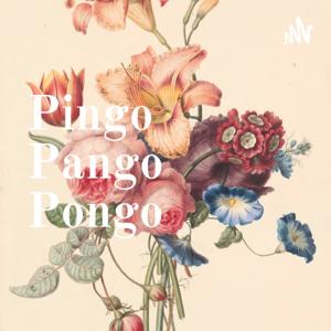 Pingo Pango Pongo