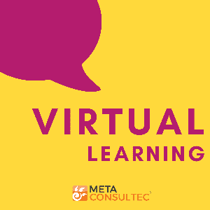 Virtual Learning Metaconsultec