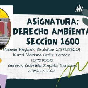 Derecho Ambiental