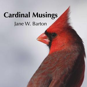 Cardinal Musings with Jane Barton