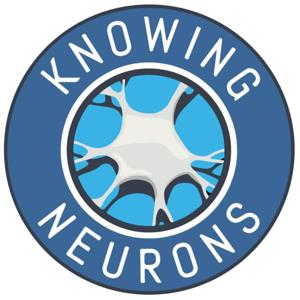 Knowing Neurons