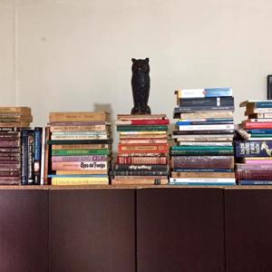 Proyecto de Literatura en Audio