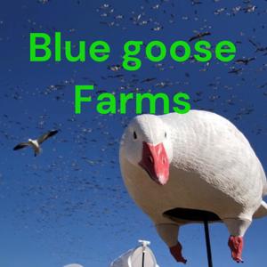 Blue Goose Farms