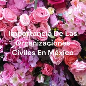 Importancia De Las Organizaciones Civiles En México