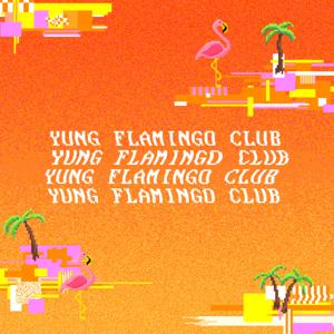 Yung Flamingo Club