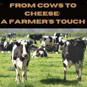 From Cows to Cheese: A Farmer's Touch